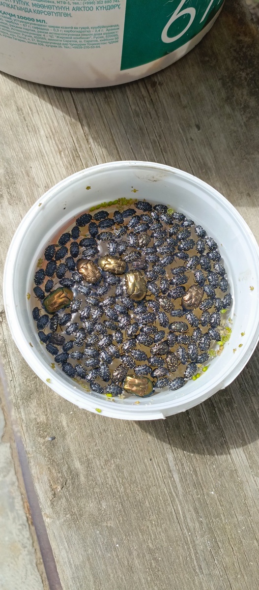 Фото подписчика. 