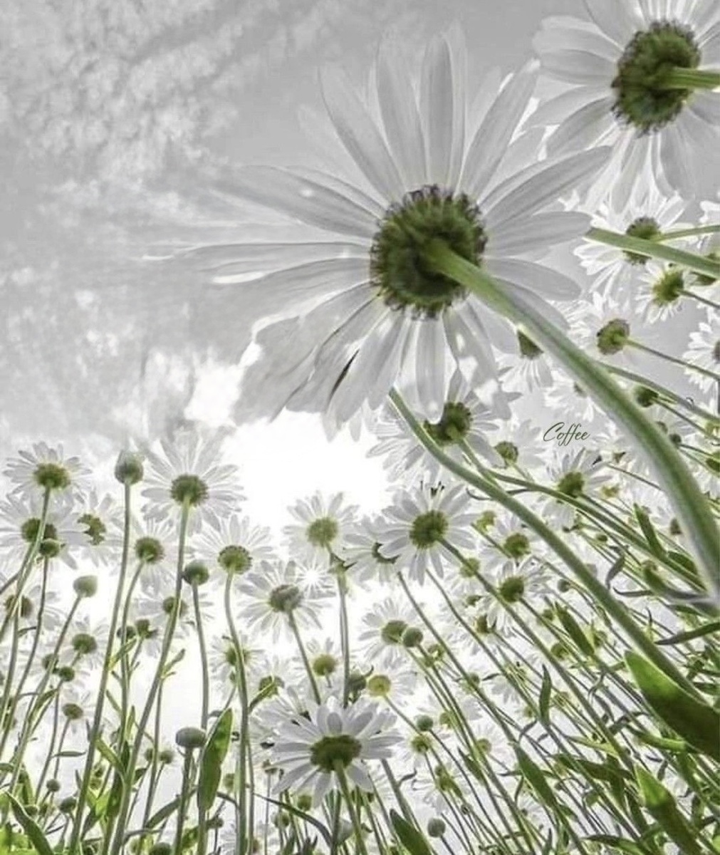 Июнь 2025. Астролог Елена Мирошниченко 