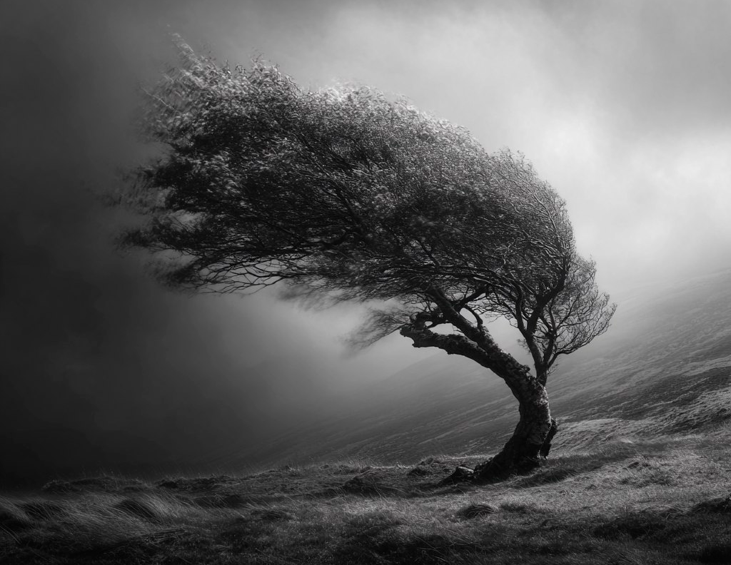 В этой статье мы будем учиться формулировать новые, здоровые и гибкие предпочтения взамен наших старых, жестких и иррациональных требований. Это как если бы мы, разобрав старый, неудобный и давящий дом (наши требования), начинали строить на его месте новый – светлый, просторный и комфортный, в котором нам будет по-настоящему хорошо жить. Наша цель – не просто избавиться от "плохих" требований, а создать для себя новую систему внутренних ориентиров, которая будет помогать нам жить в большем согласии с собой и миром, достигать своих целей без излишнего напряжения и строить здоровые отношения.