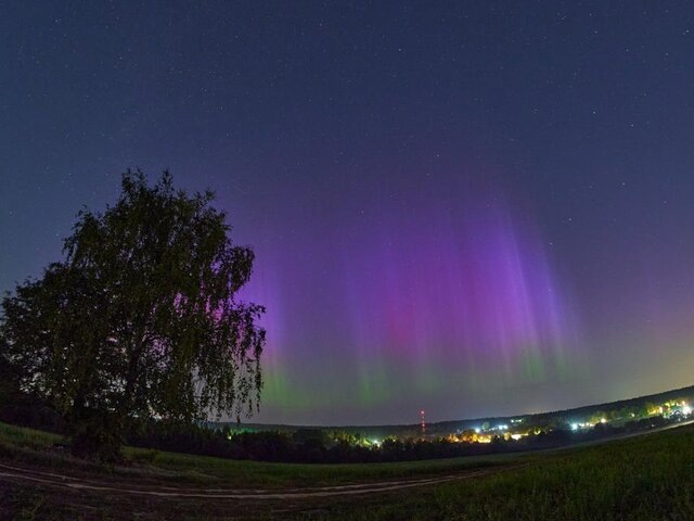    Фото: Агентство "Москва"/"Мобильный репортер"