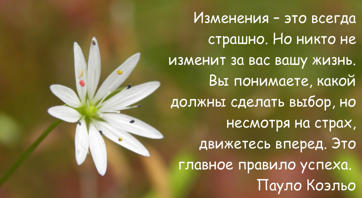 Ваша жизнь ваши правила.