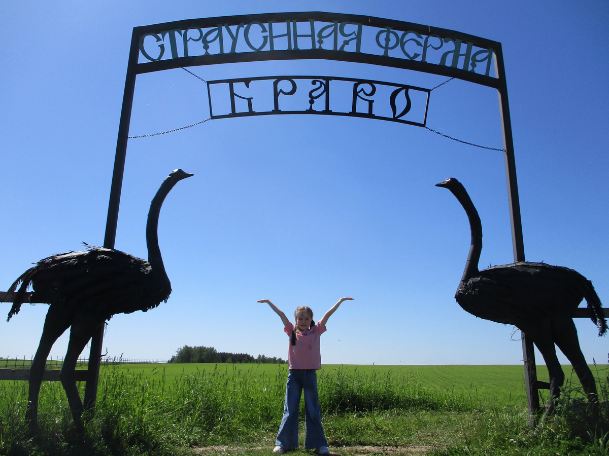 Страусиная ферма в Чувашии