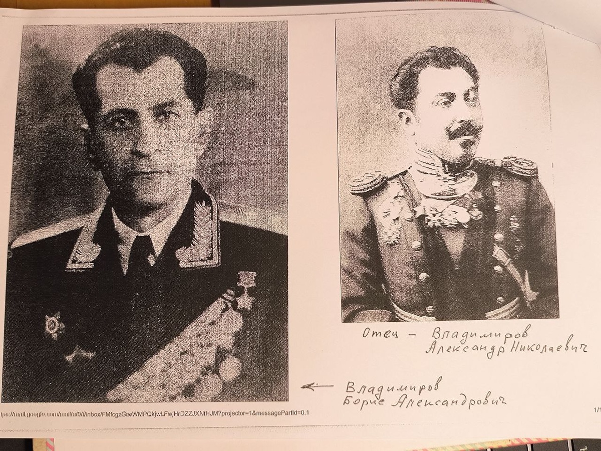 Владимировы, Защитники Отечества