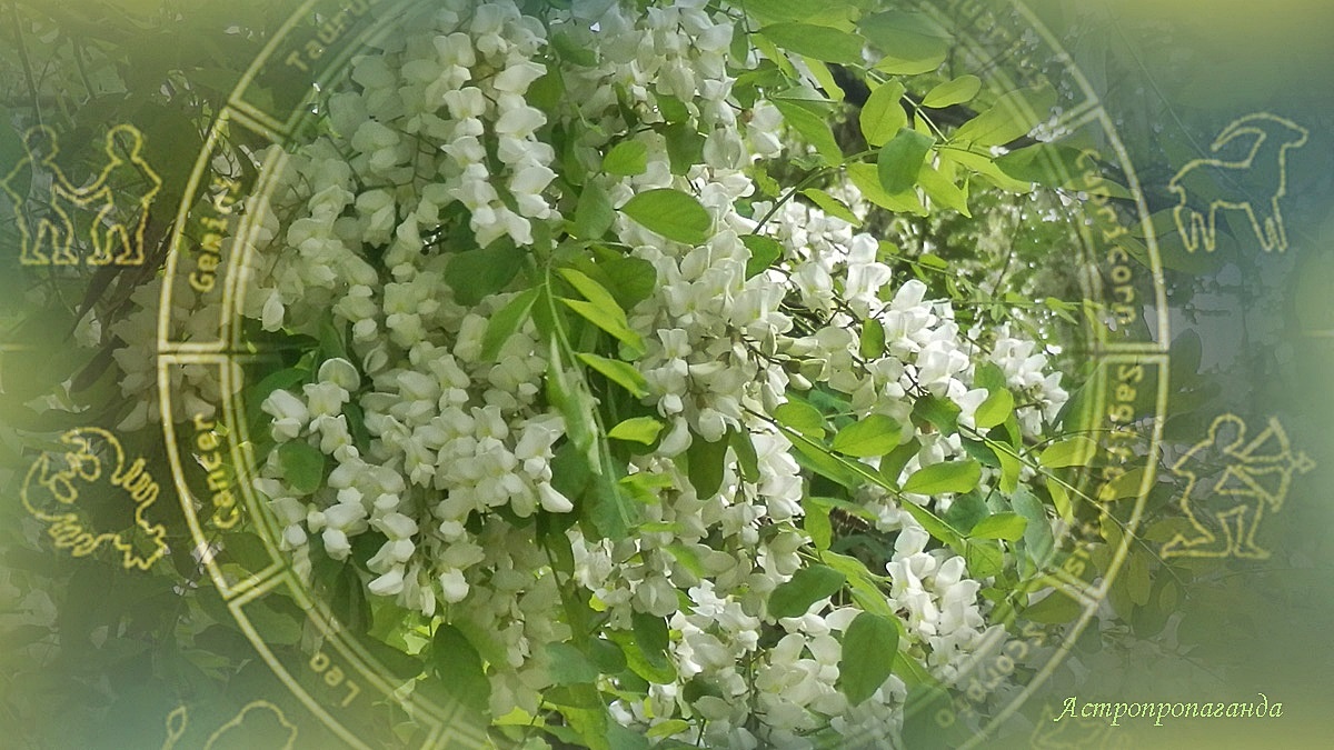 Гороскоп со 2 по 8 июня 2025: Венера в новом знаке, Меркурий в новом соединении | Недельный гороскоп