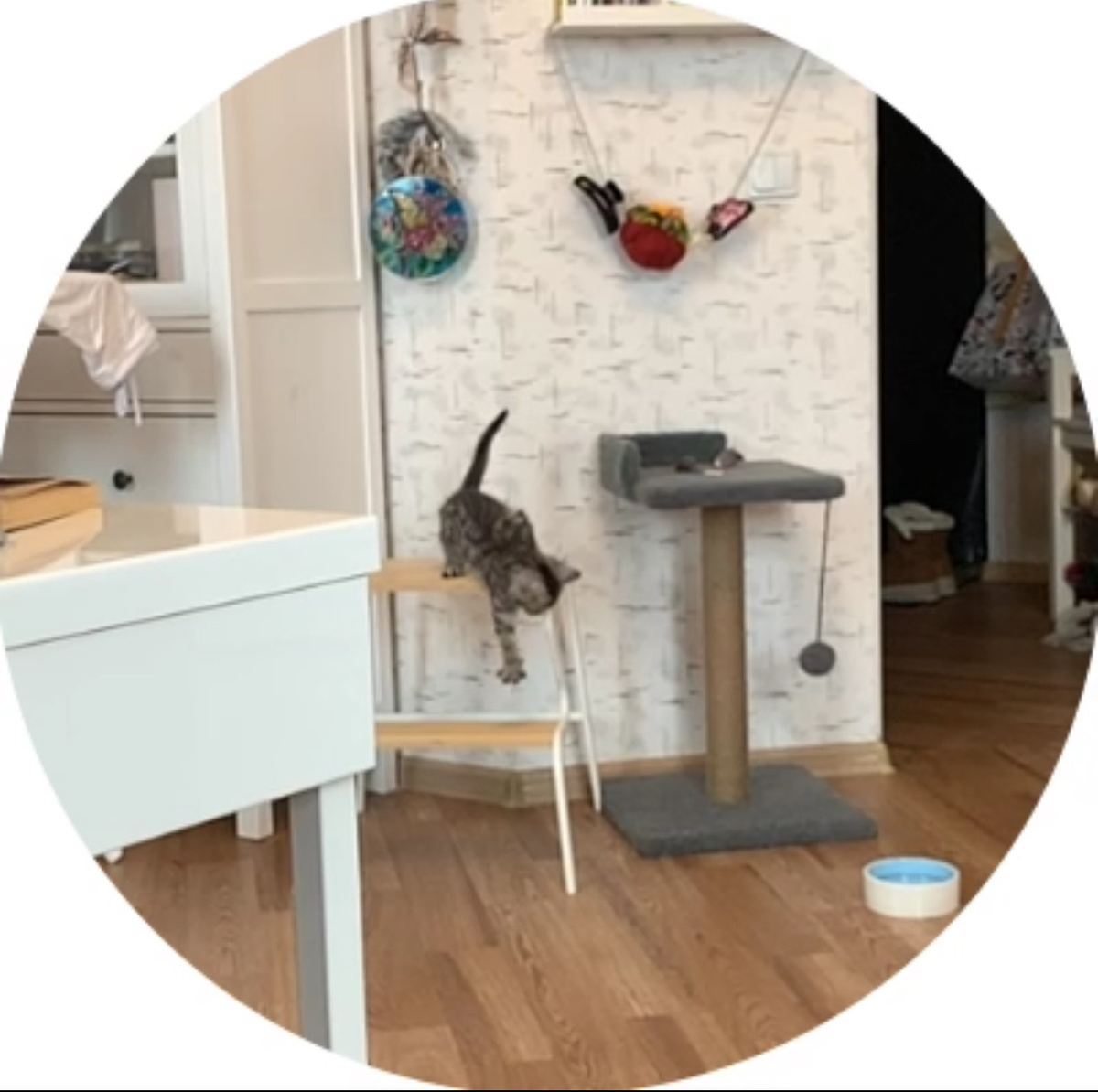 Вася познает мир 🌍 