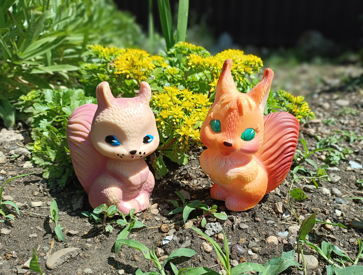 Незабудка и Лапочка.