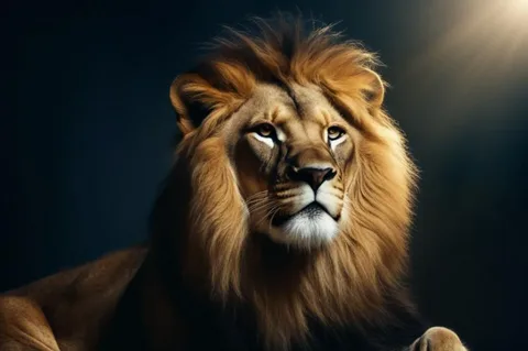 изображение из открытых источников