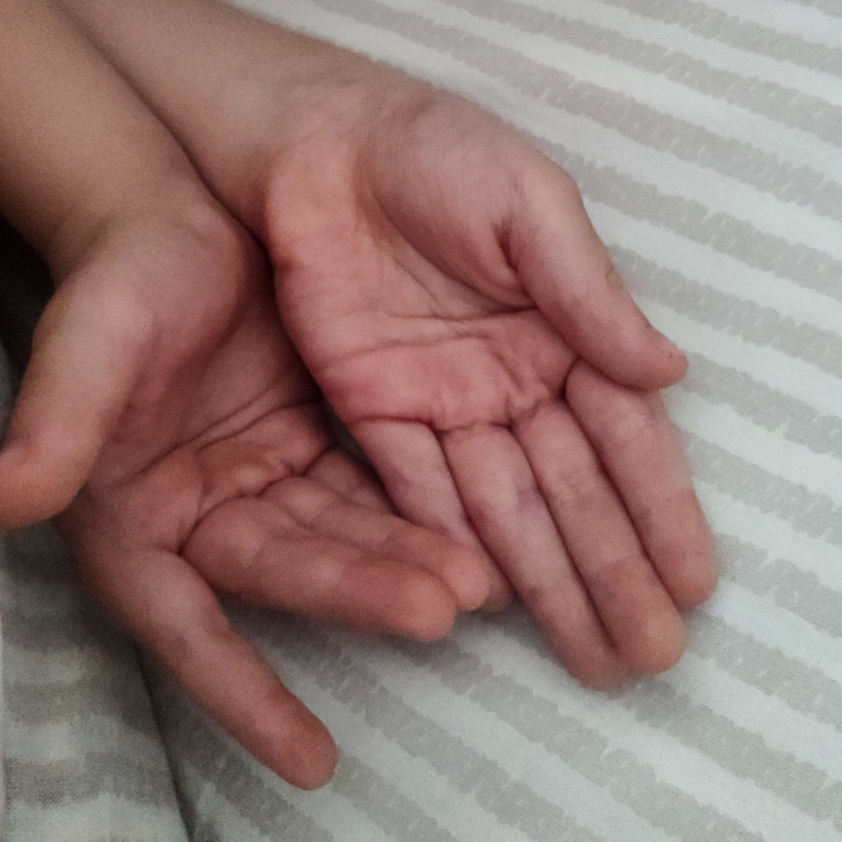 Магия каждого утра. Фото автора. 