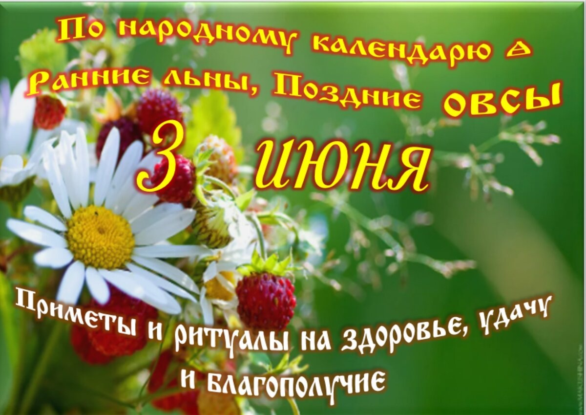 Встречаем новый день