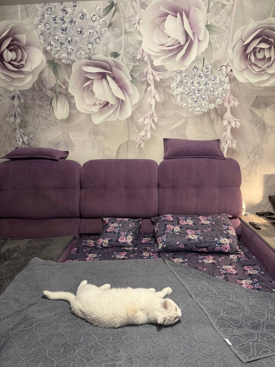 Барсик оценил)