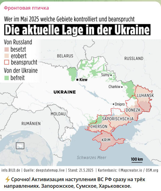    Скриншот с канала "Фронтовая птичка"