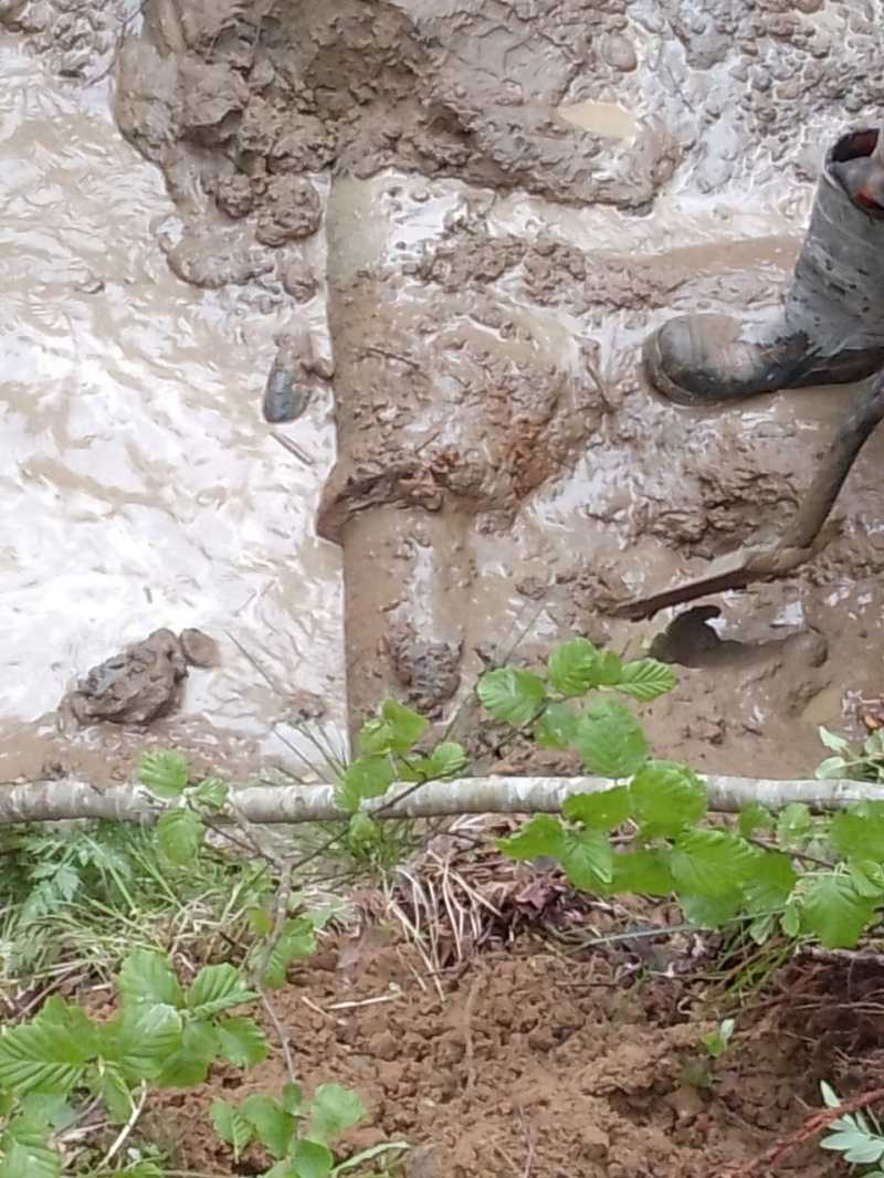    Жителям поселка Карелии вернули воду МУП "Водоканал" Лахденпохский район