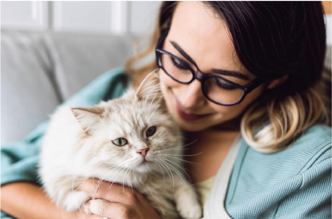 Нейросеть Kandinsky 3.0