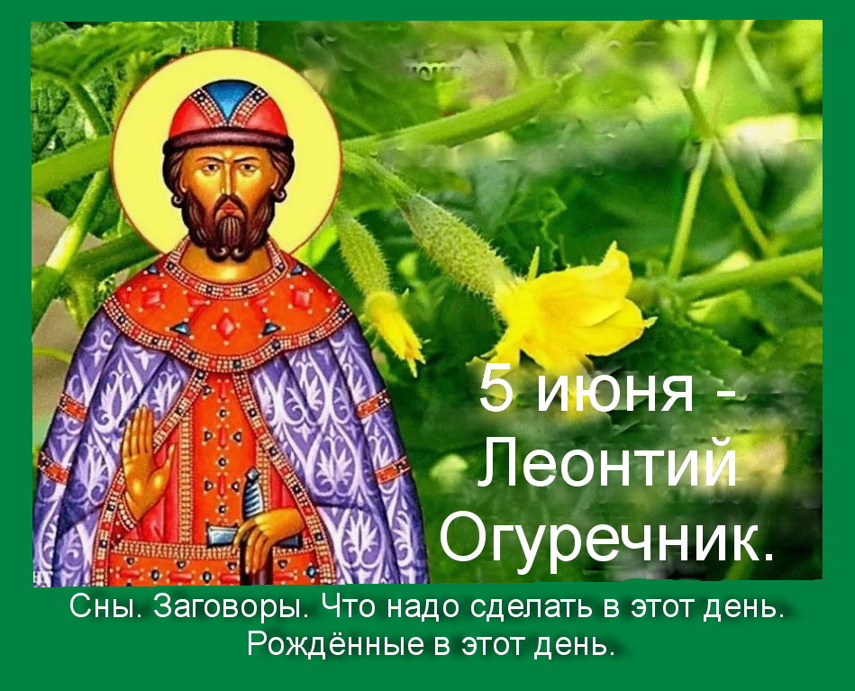 Источник : Яндекс  картинки.