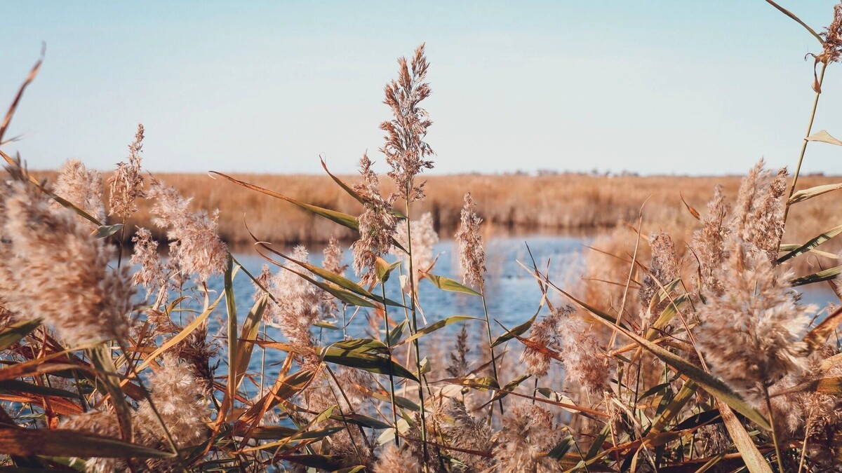     Источник: 1MI