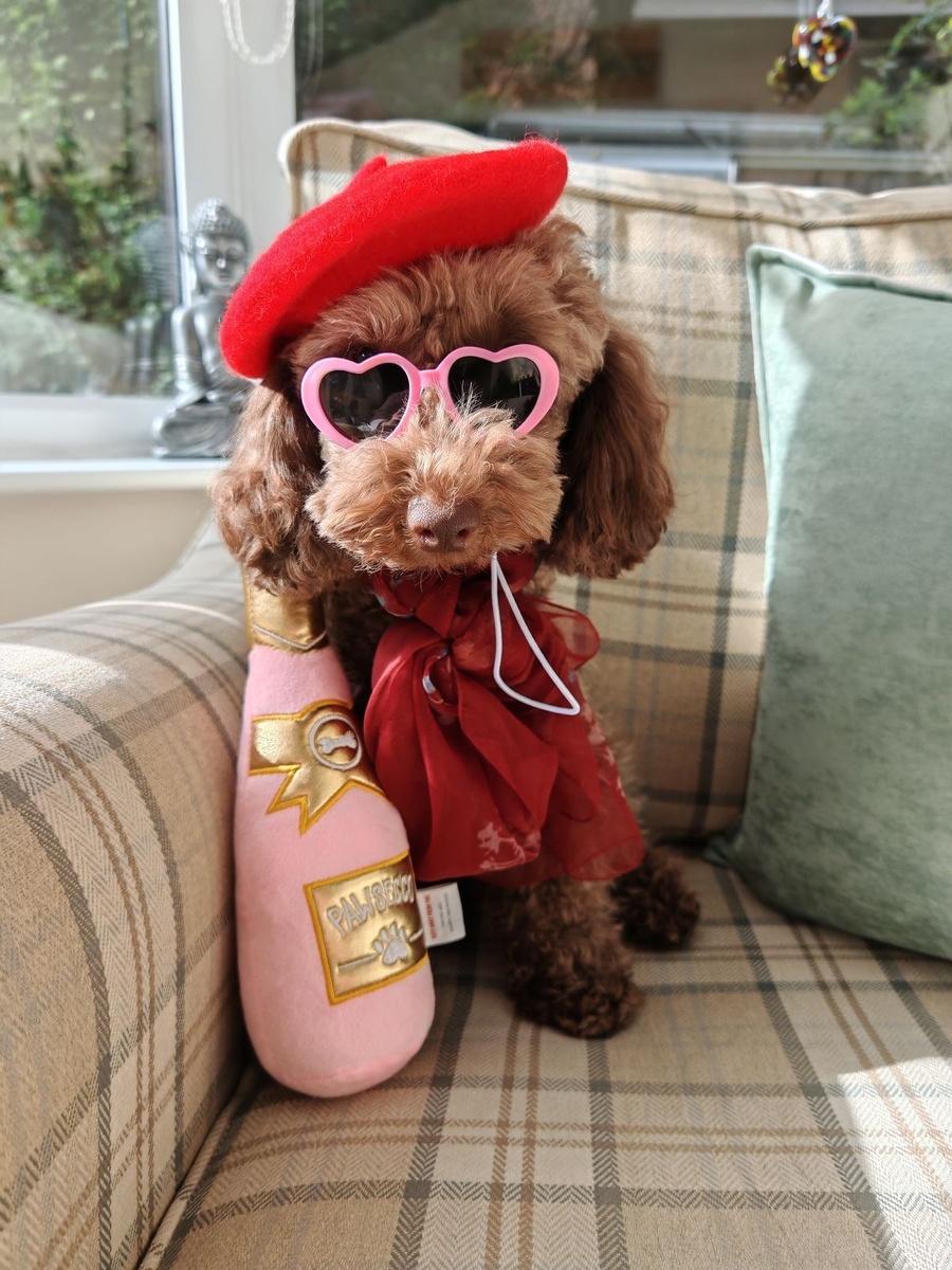 Источник: Pinterest 