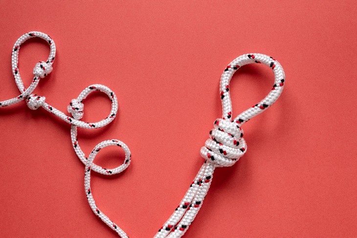    узлы Алексеева Наталья