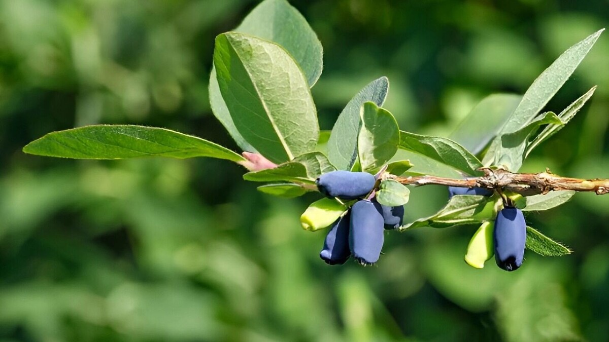     Источник: freepik.com