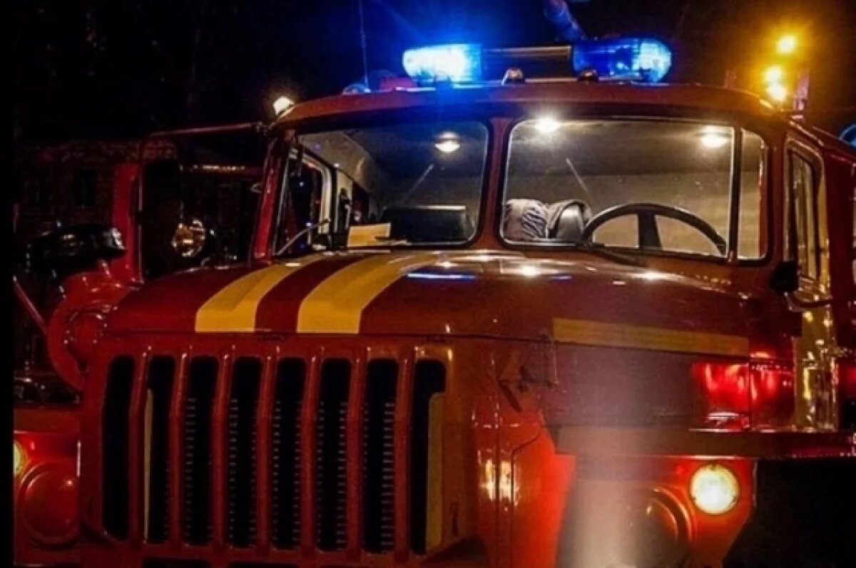    За неделю камчатские пожарные потушили 48 возгораний