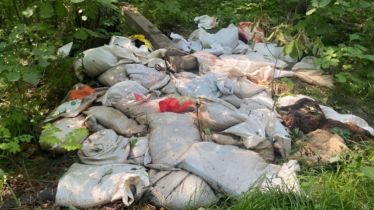     Источник: ОЭД «Защита природы»