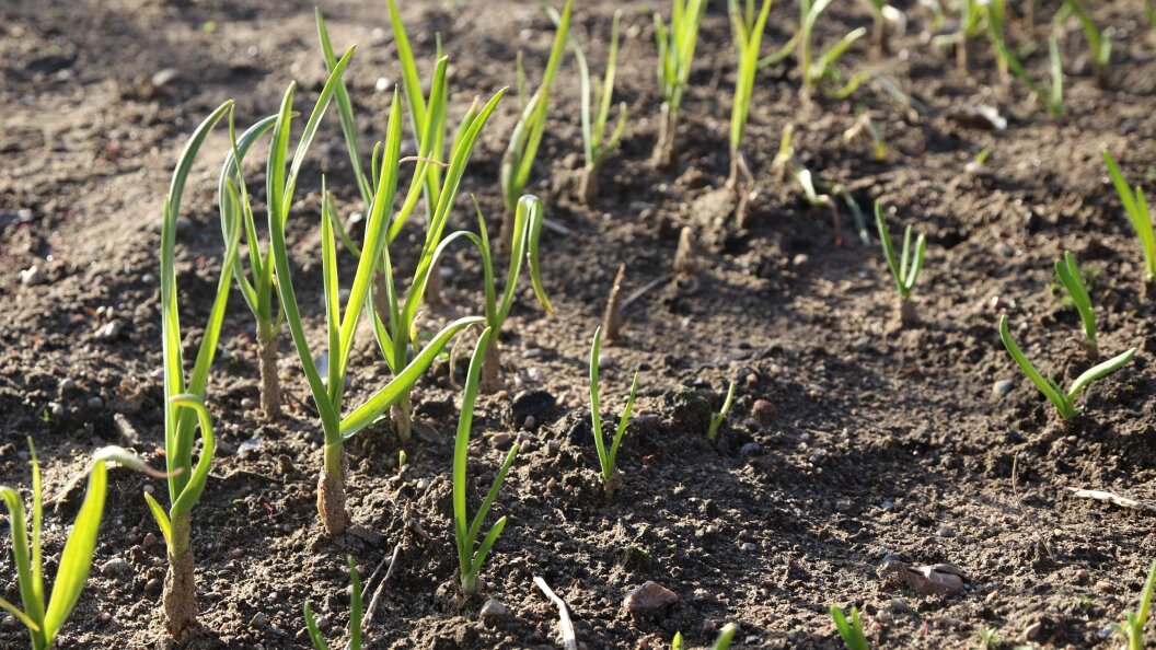    Фото: Maksim Konstantinov/Global Look Press