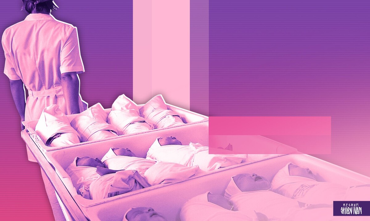     / Источник: Иван Шилов (с) ИА Регнум