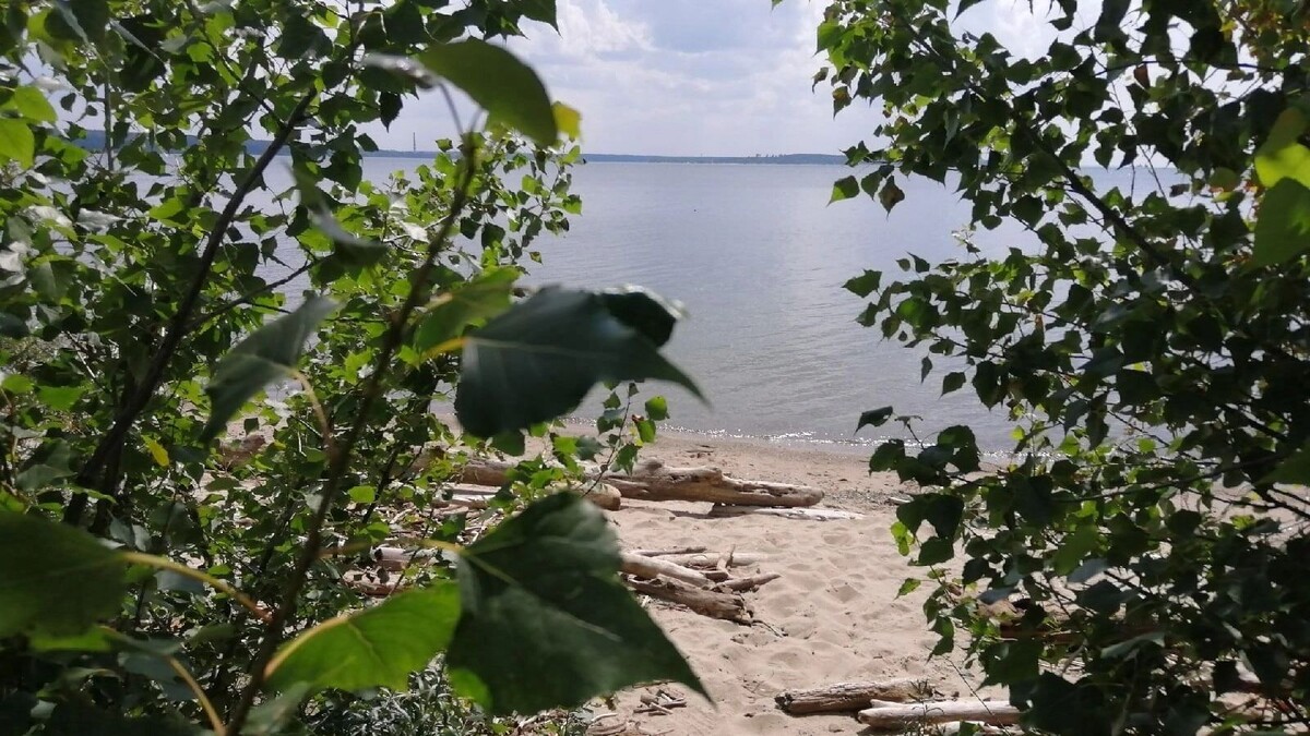     Источник: atas.info