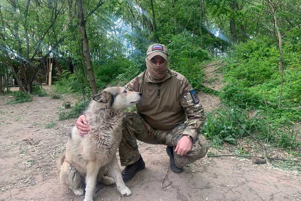    Командир разведроты с позывным «Монгол» с псом по кличке Волк. Фото: АиФ/ Никита Сахаров