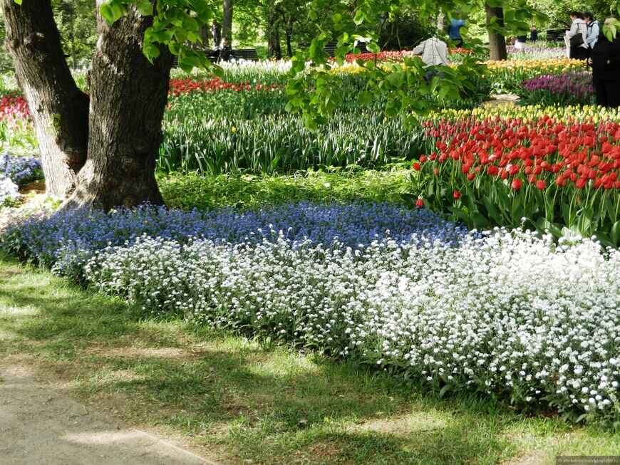 Так я видела территории Петровского аптекарского огорода. Фото из открытых источников 