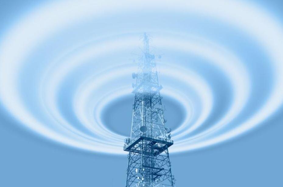    Shutterstock/FOTODOM