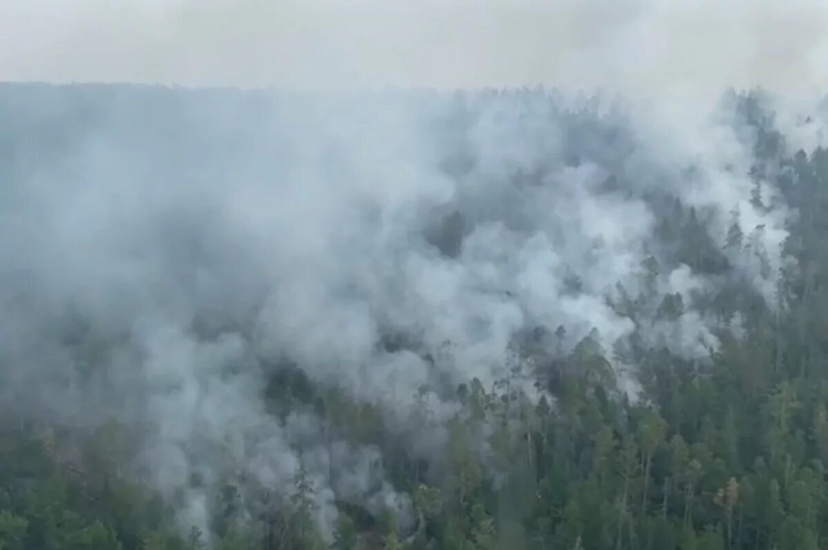    4 тысячи гектаров леса полыхают в Хабаровском крае