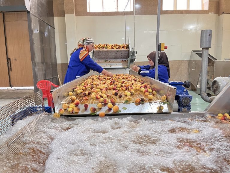 © Администрация Муниципального района Республики Дагестан «Гергебильский район» / гергебиль.рф (Кикунинский консервный завод возобновил работу в 2023 г.)