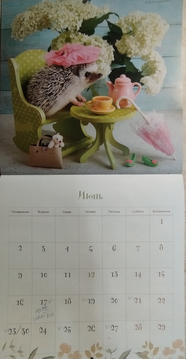 Начинаем лето с чистого листа. Календарь мой. ЗДЕСЬ и далее фото автора и(или) из личного архива автора, если не указано иначе.
