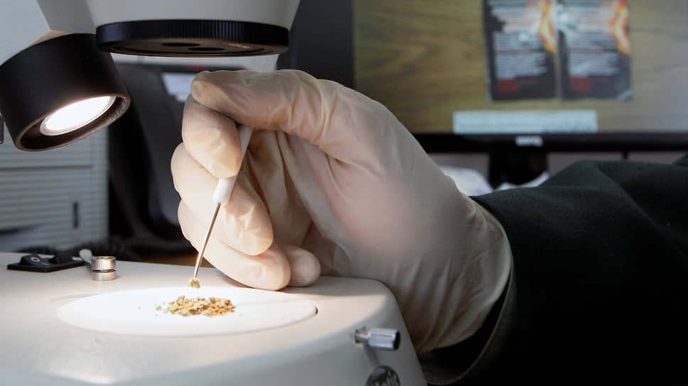 Фото: Виктор Коротаев / Коммерсантъ