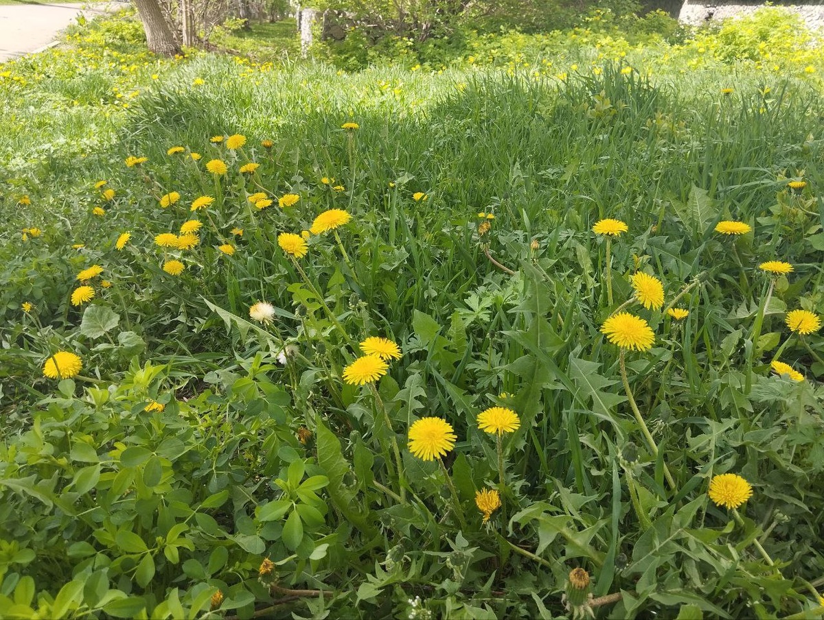 Ожидается солнечно.  Фото: Фото: ФедералПресс / Екатерина Ломакина