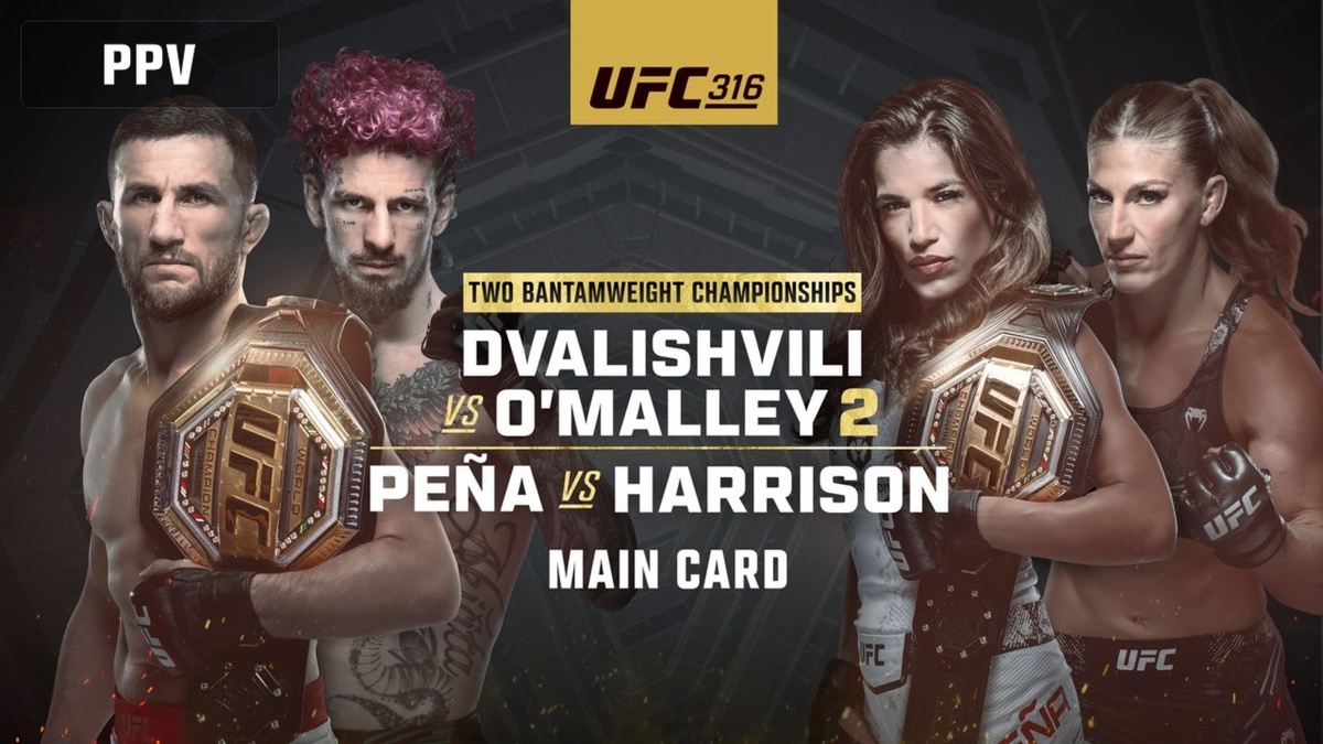     Афиша UFC 316