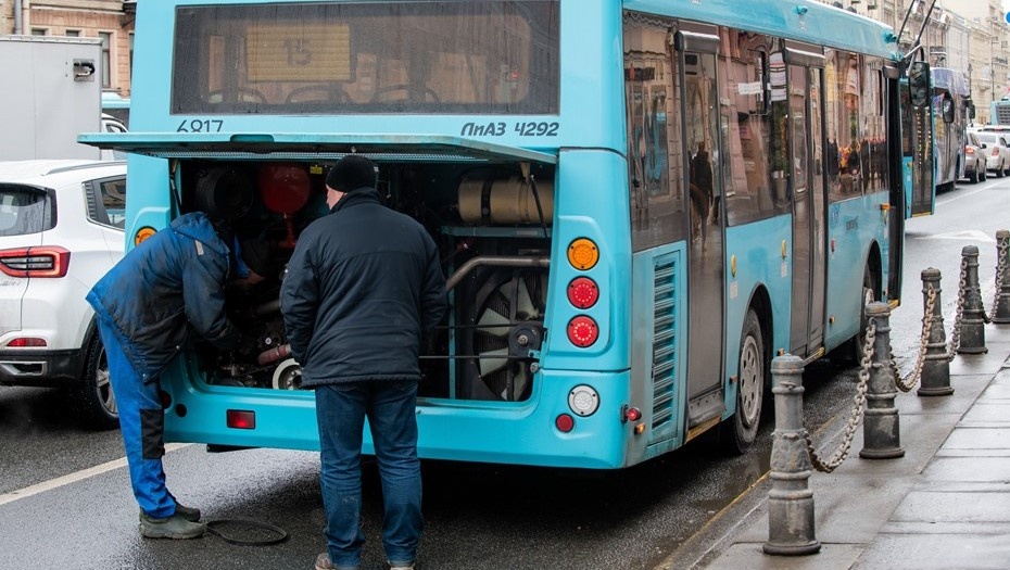    Автор фото: Сергей Ермохин / "ДП"