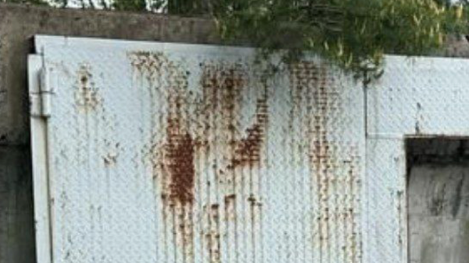 Фото: Прокуратура Ленинградской области