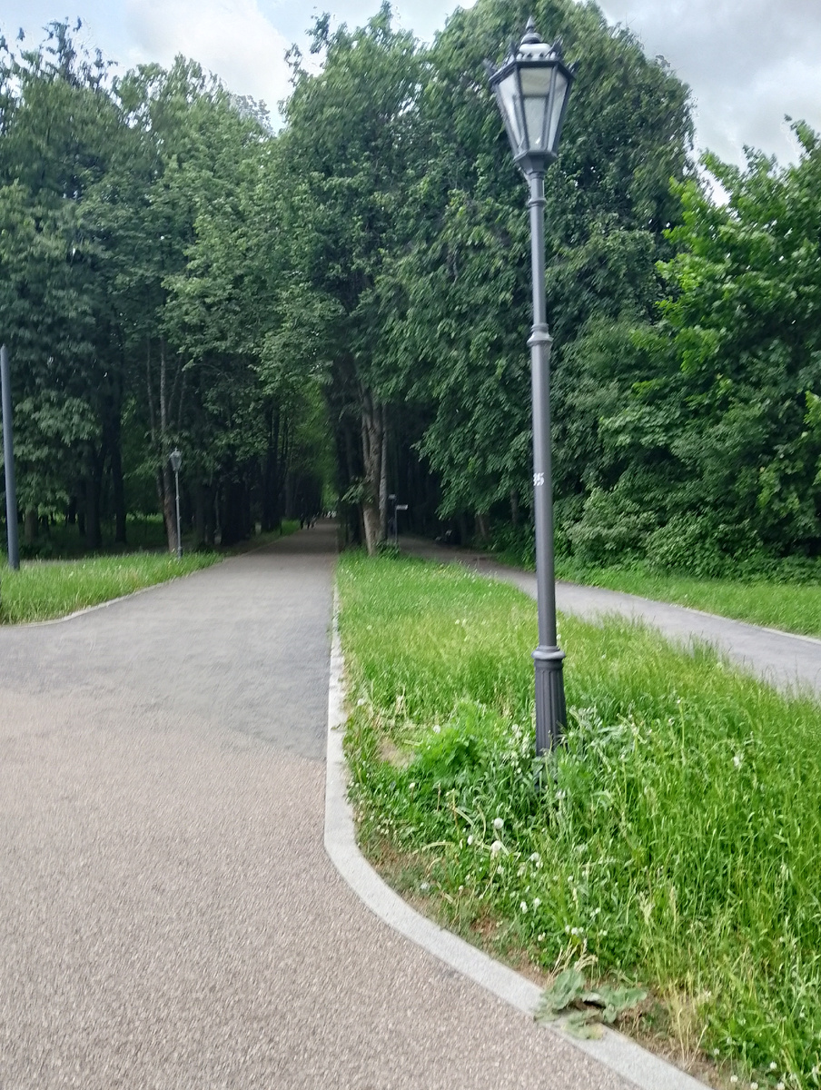 Лето, в котором я провела выходные. Фото автора