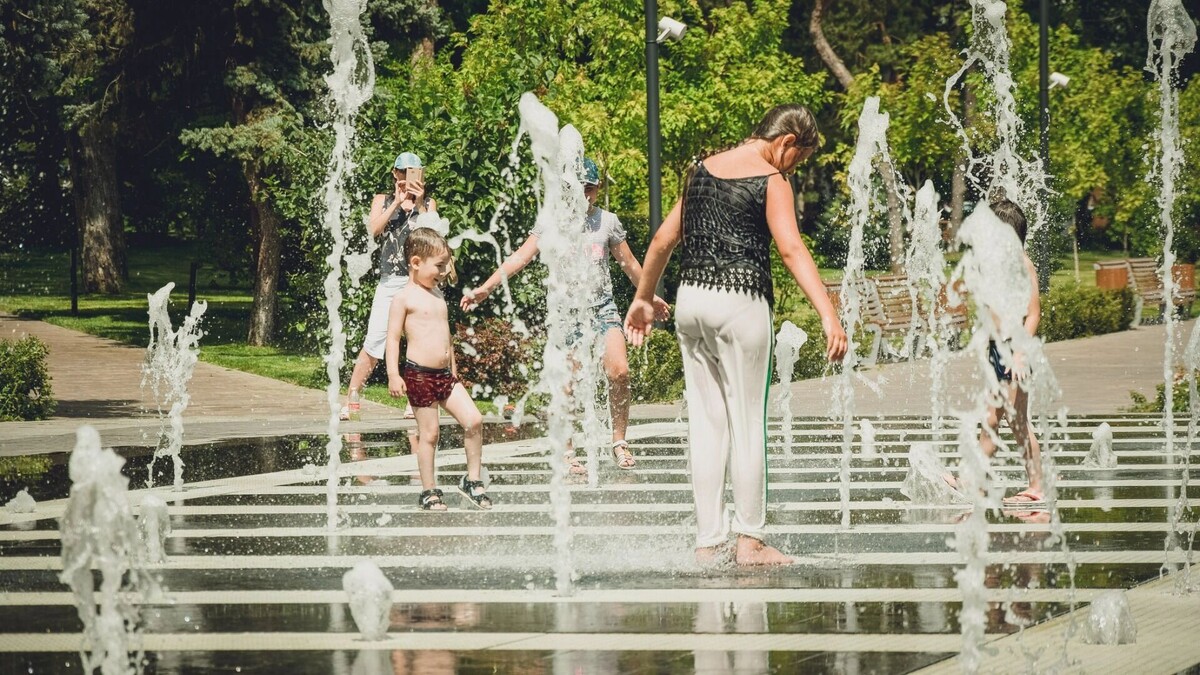     Источник: novostivolgograda.ru