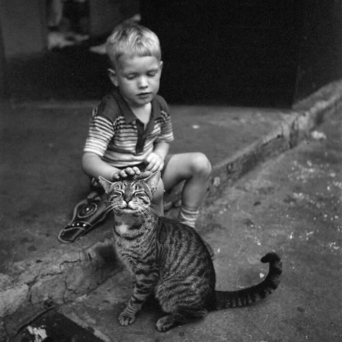 Источник: @allvintagecats