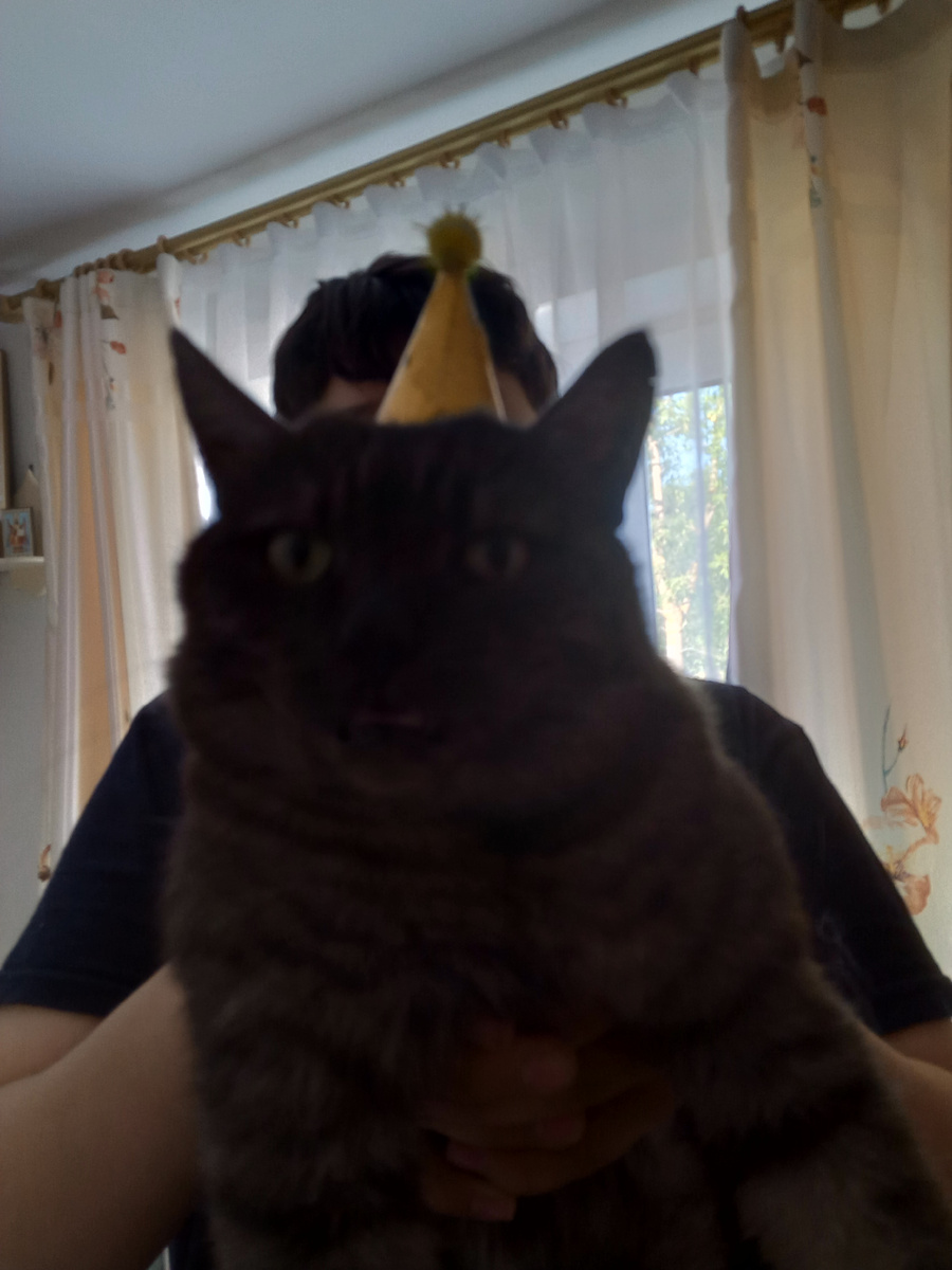 Мой Сёмочка)