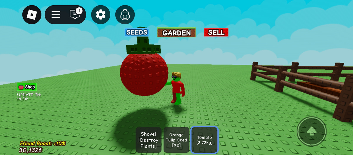 Очень огромный помидор