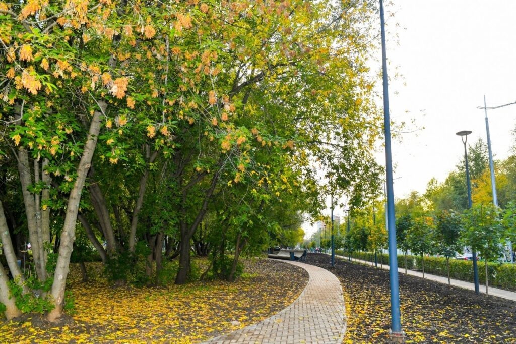    Фото: администрация Перми Иван Фистин