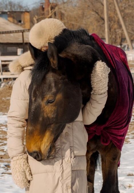 Наш конь - Бархат❤️