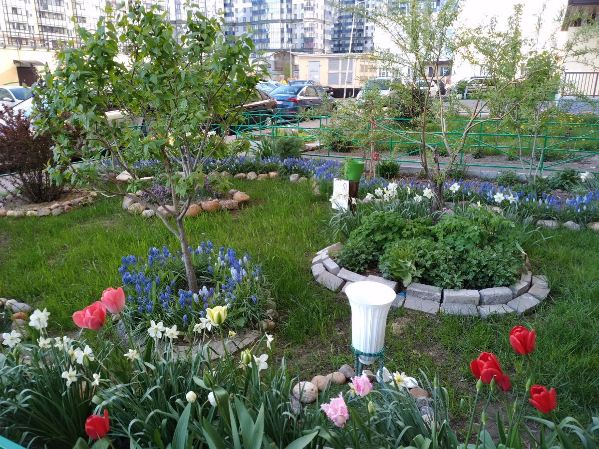 Газон подстригается вручную