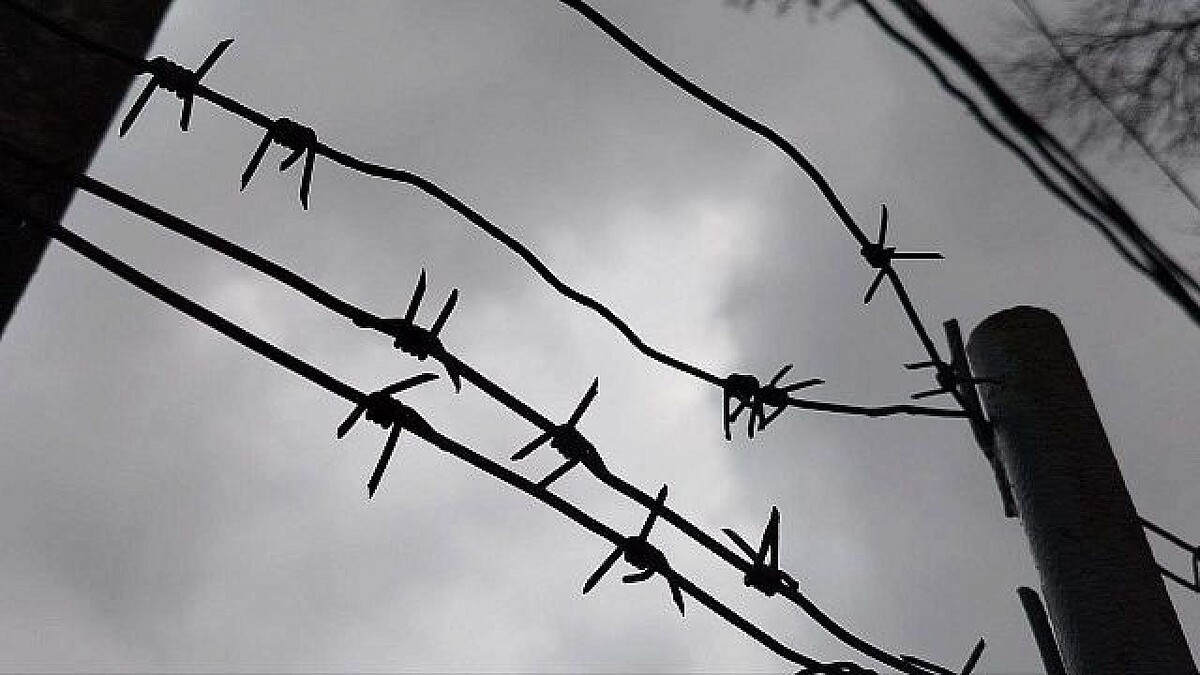    Фото: телеканал «Краснодар»