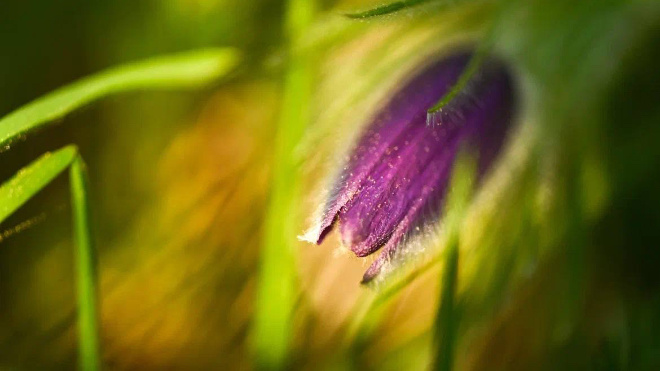 Фото: Александр Дрозденко/telegram