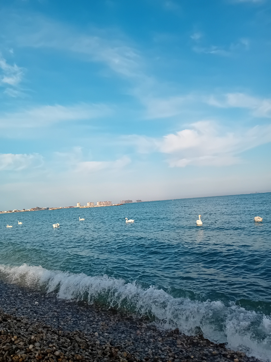 Авторское фото.