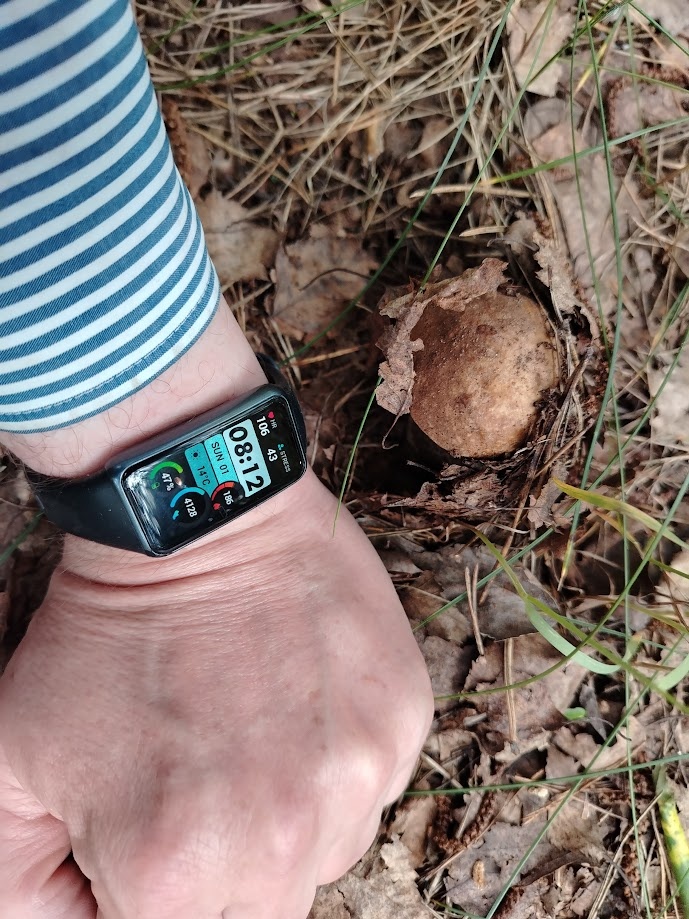 Первый гриб сезона 2025